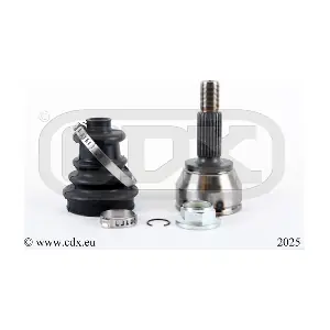 2025 CDX