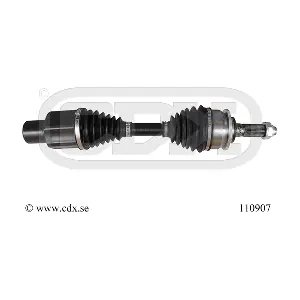 110907 CDX