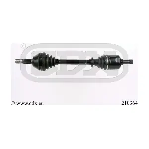 210364 CDX