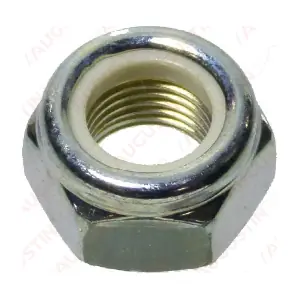 8020005 Augustin Group