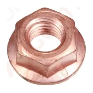 8020025 Augustin Group
