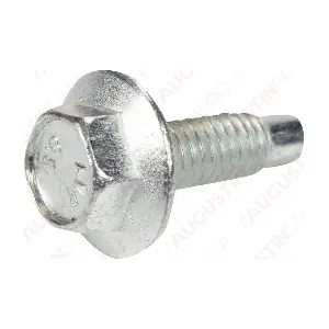 8010009 Augustin Group