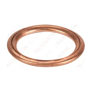 8100008 Augustin Group