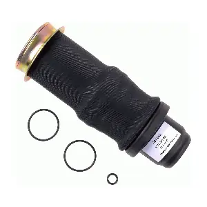 SACHS 481002