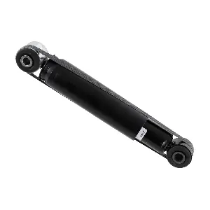 SACHS 313 482