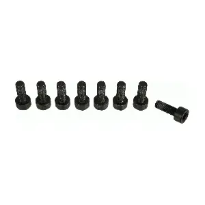 SACHS 1874 000 066