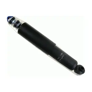 SACHS 312 842