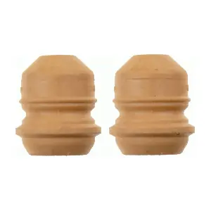 SACHS 900 041