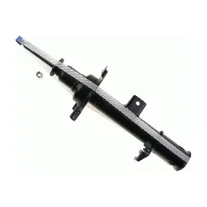 SACHS 312 587