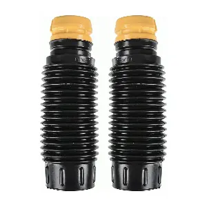SACHS 900250