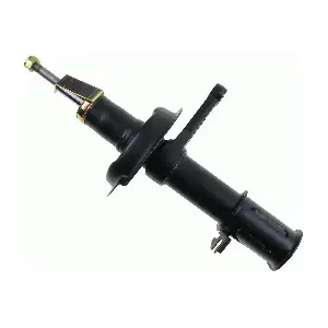 SACHS 312931