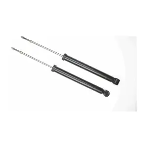 316707 SACHS