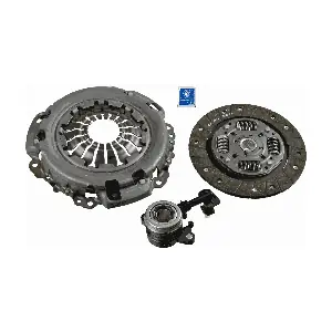 3000990356 SACHS