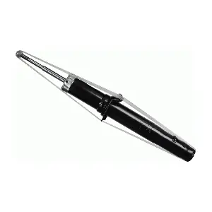 SACHS 313 866