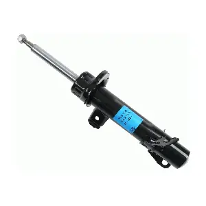 SACHS 313739