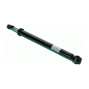 SACHS 556273