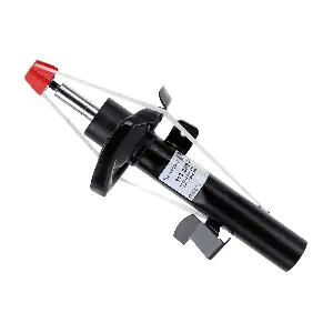 SACHS 313283