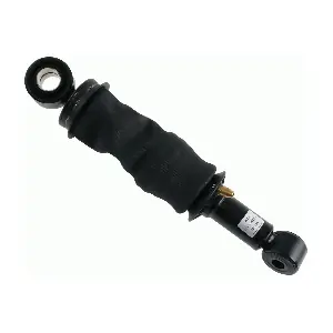310820 SACHS