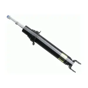 SACHS 313 793