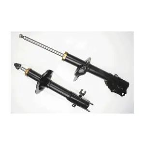 317 307 SACHS