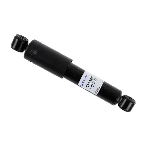 SACHS 313906