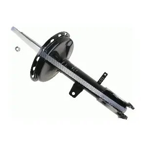 SACHS 312901