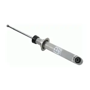 SACHS 310245