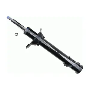 310906 SACHS