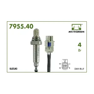 25360991 DELPHI