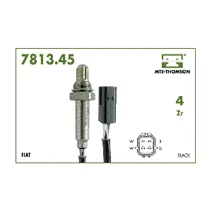 MTE-THOMSON 781345040