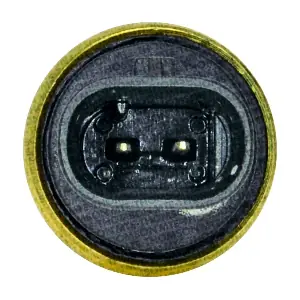 4293 MTE-THOMSON