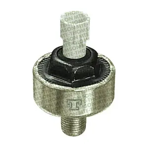 7020 MTE-THOMSON