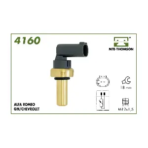 4160 MTE-THOMSON