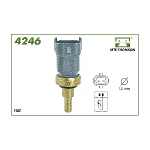4246 MTE-THOMSON