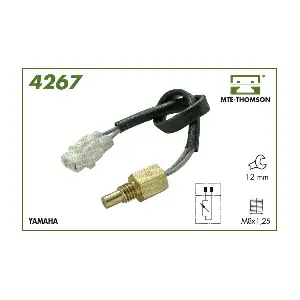 4267 MTE-THOMSON