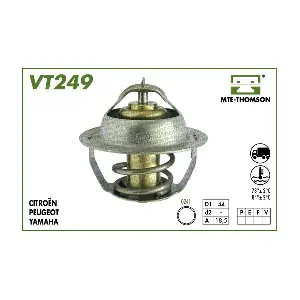 VT24984 MTE-THOMSON