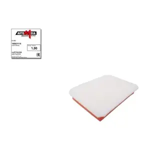 AUTOMEGA 180021110