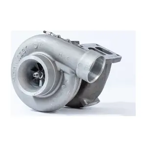 316756 BorgWarner (Schwitzer)