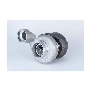 318295 BorgWarner (Schwitzer)