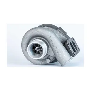 312312 BorgWarner (Schwitzer)