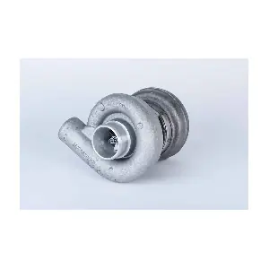 312730 BorgWarner (Schwitzer)