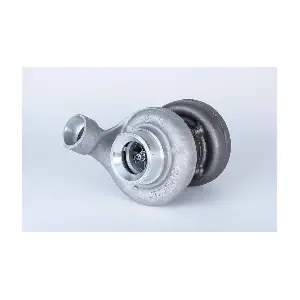 318168 BorgWarner (Schwitzer)