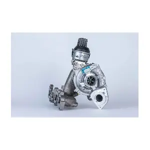 54409900036 BorgWarner