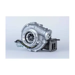 53279880013 BorgWarner