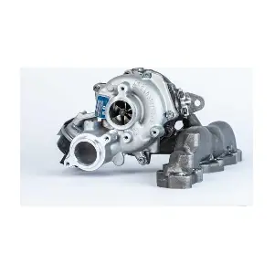 53039880620 BorgWarner