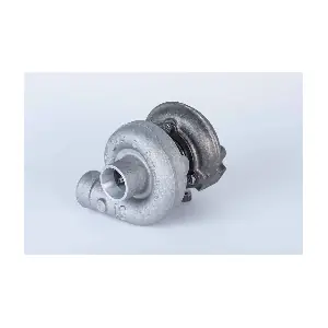 319261 BorgWarner