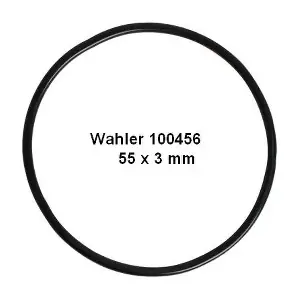 100456 BorgWarner
