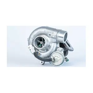 53039880250 BorgWarner