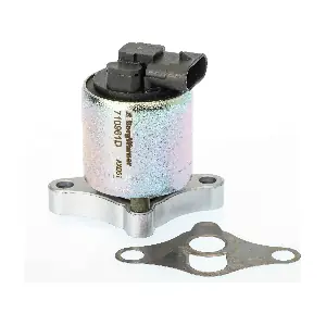 BorgWarner 710961D