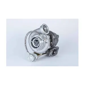 319244 BorgWarner